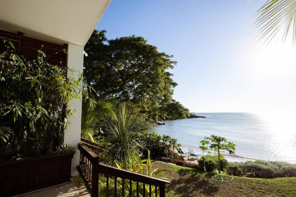 Ivy'S Cove Beach Side Condo - Luxury Villa Whitehouse Exteriér fotografie