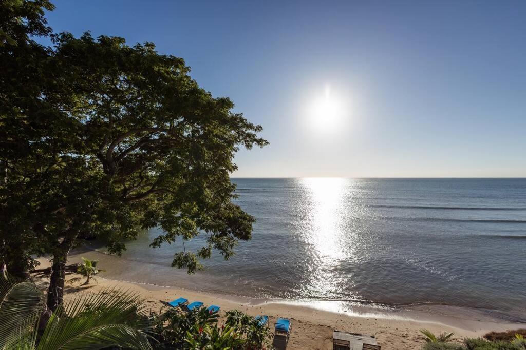 Ivy'S Cove Beach Side Condo - Luxury Villa Whitehouse Exteriér fotografie