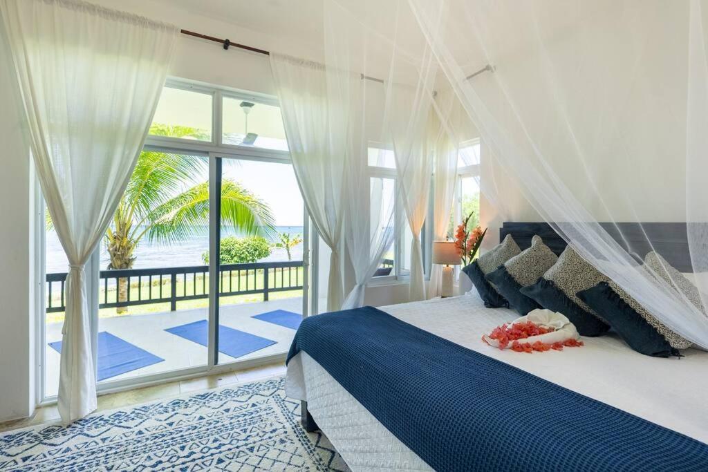 Ivy'S Cove Beach Side Condo - Luxury Villa Whitehouse Exteriér fotografie