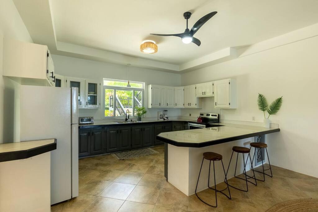 Ivy'S Cove Beach Side Condo - Luxury Villa Whitehouse Exteriér fotografie